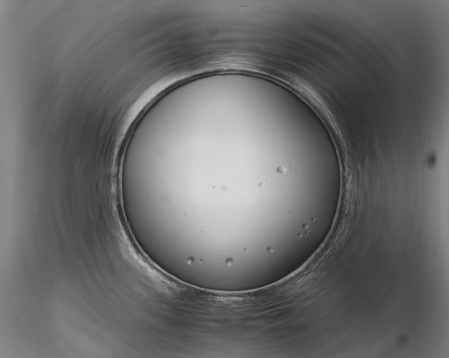 X0000116391339200912161515