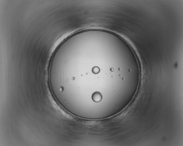 X0000116391341200912161515