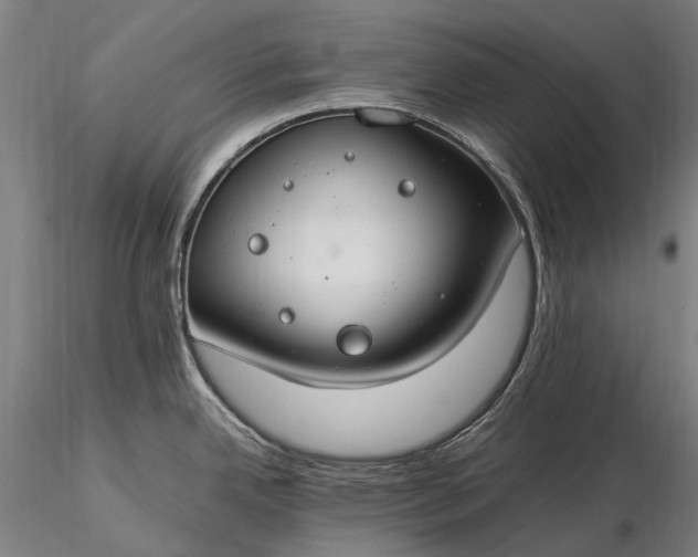 X0000116391342200912161515