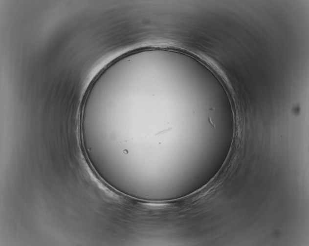 X0000116391343200912161515