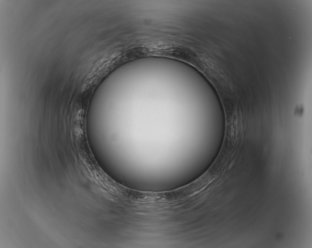 X0000116391346200912161515