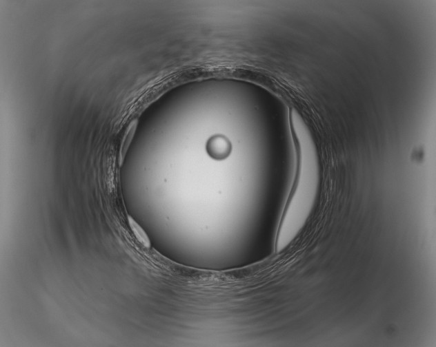 X0000116391348200912161515