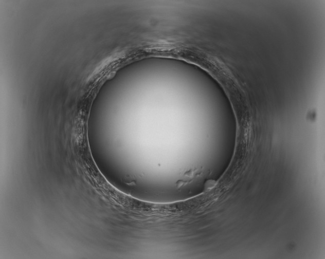 X0000116391350200912161515
