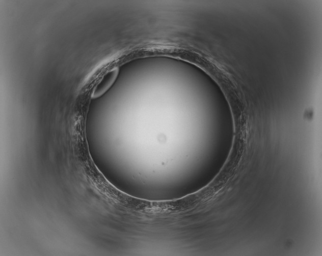 X0000116391351200912161515