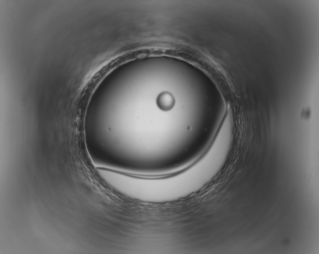 X0000116391352200912161515