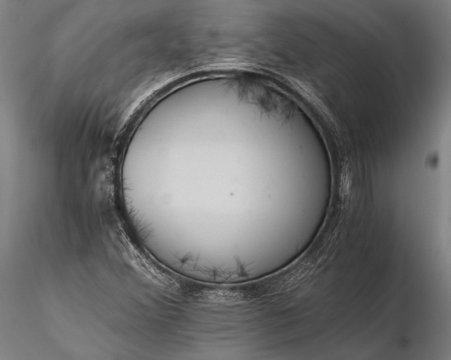X0000116391356200912161515