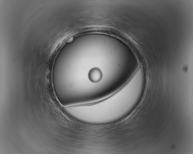 X0000116391357200912161515
