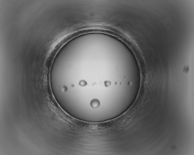 X0000116391360200912161515