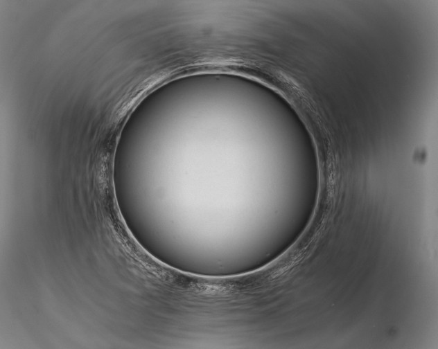 X0000116391361200912161515