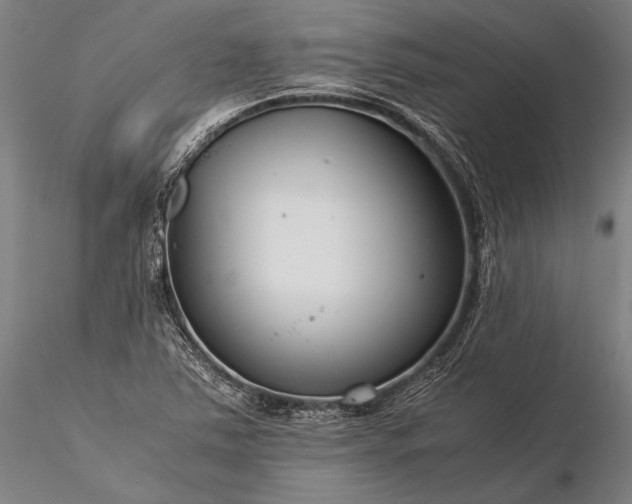 X0000116391363200912161515