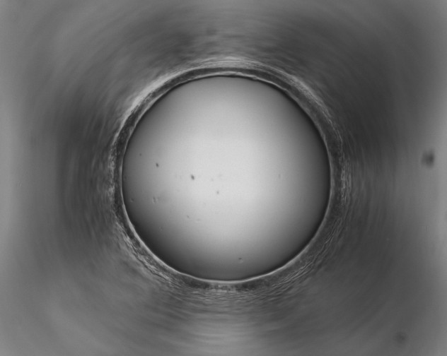 X0000116391364200912161514