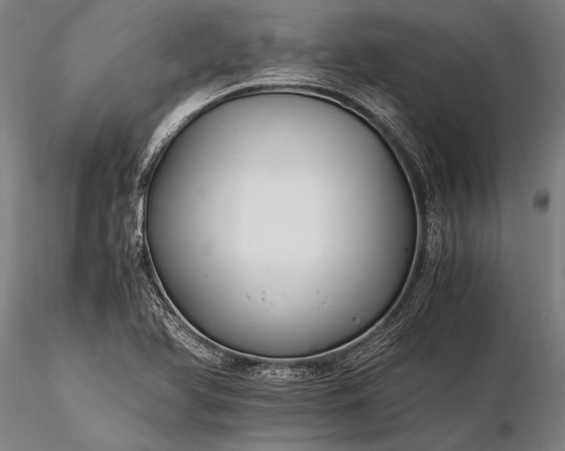X0000116391366200912161514