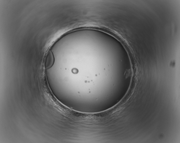 X0000116391367200912161514
