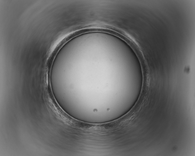 X0000116391368200912161514