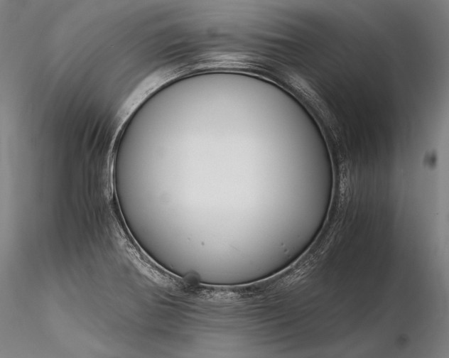 X0000116391370200912161514