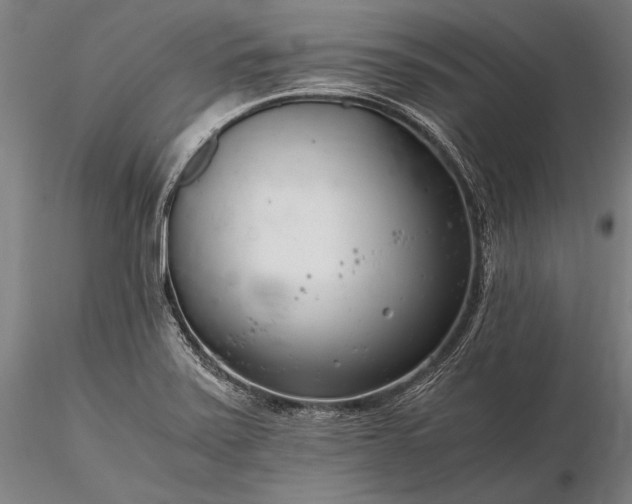 X0000116391371200912161514