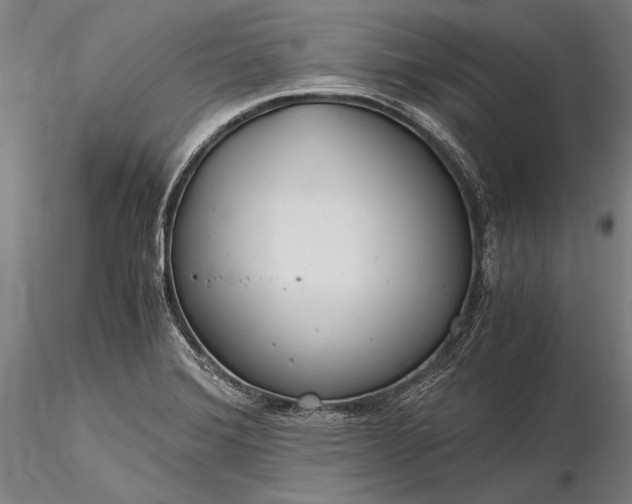 X0000116391372200912161514