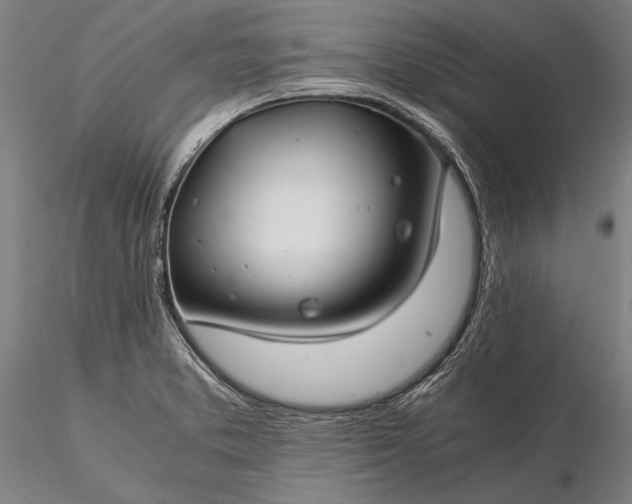 X0000116391373200912161514