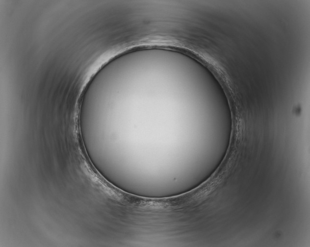 X0000116391374200912161514
