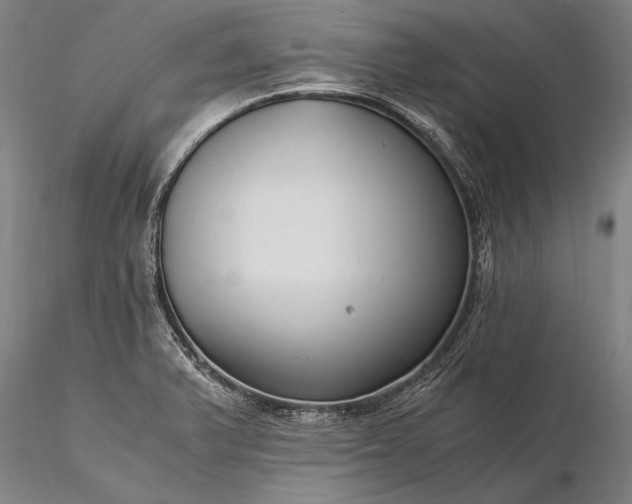 X0000116391375200912161514