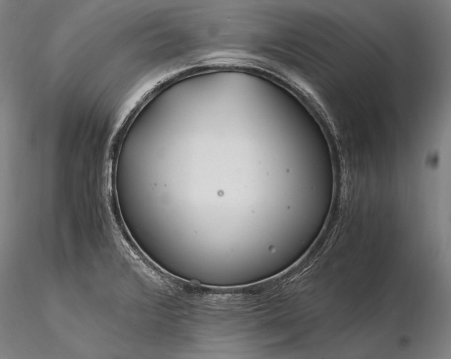 X0000116391376200912161514