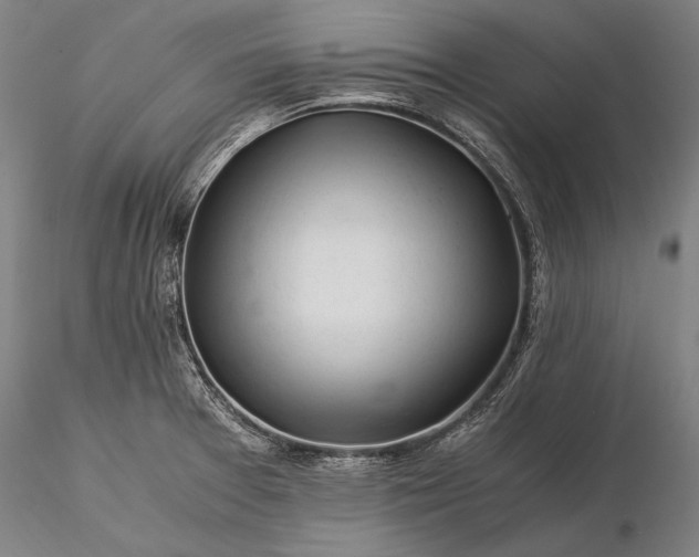 X0000116391377200912161514
