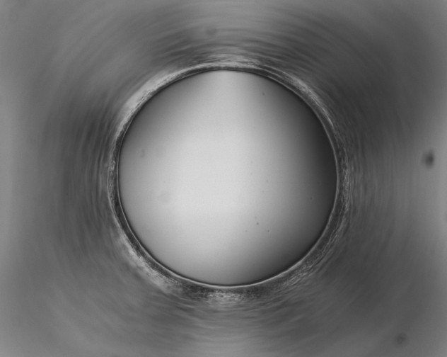 X0000116391379200912161514