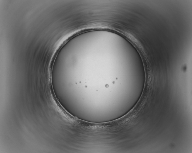 X0000116391380200912161514