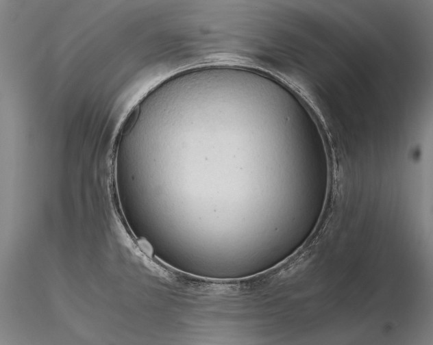 X0000116391381200912161514