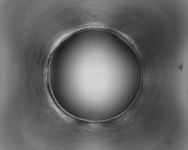X0000116391383200912161514