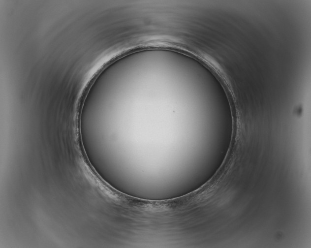 X0000116391384200912161514