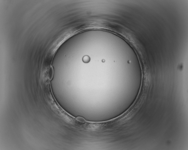 X0000116391385200912161514