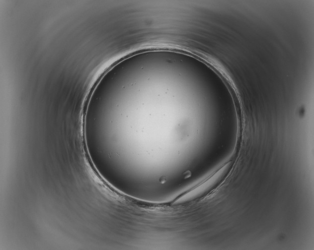 X0000116391388200912161514