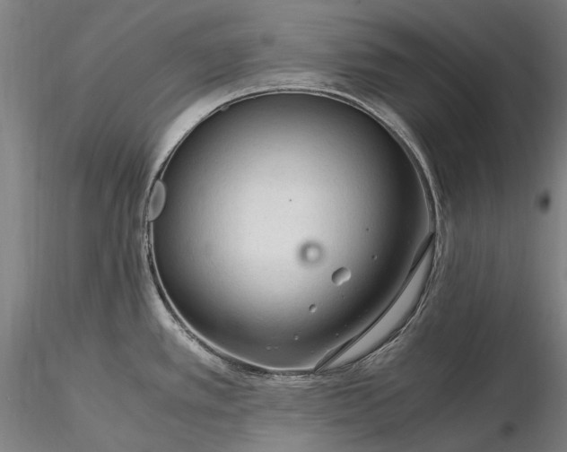 X0000116391389200912161514