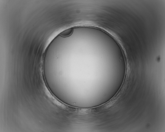 X0000116391390200912161514