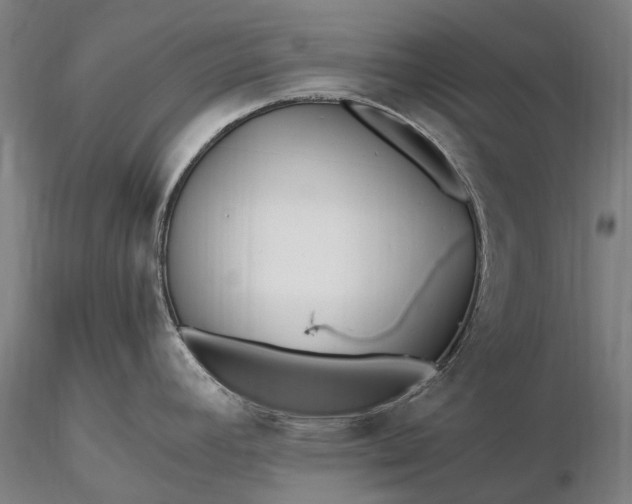 X0000116391392200912161514