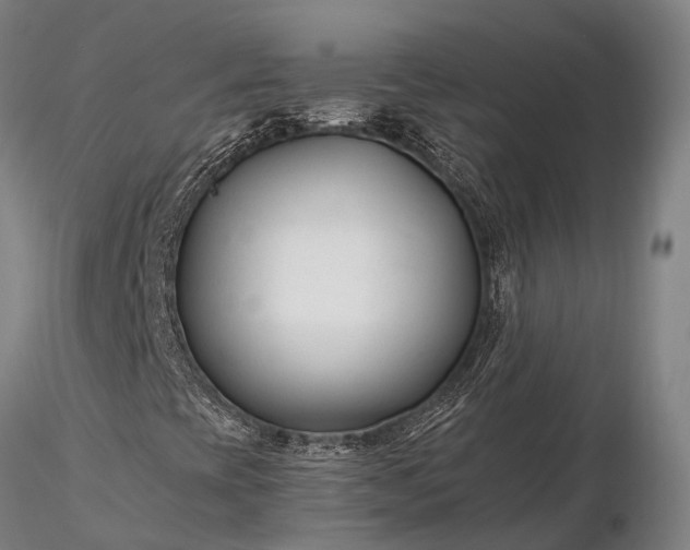 X0000116391393200912161513