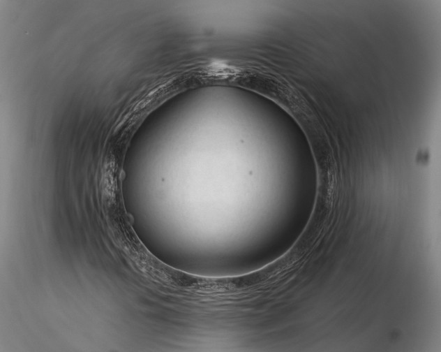 X0000116391394200912161513