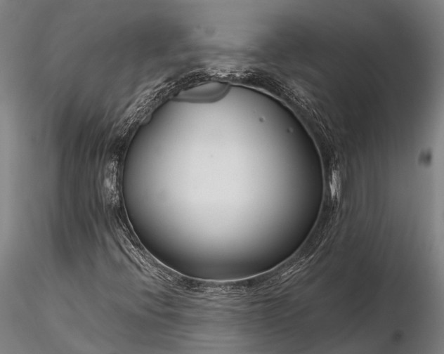 X0000116391396200912161513