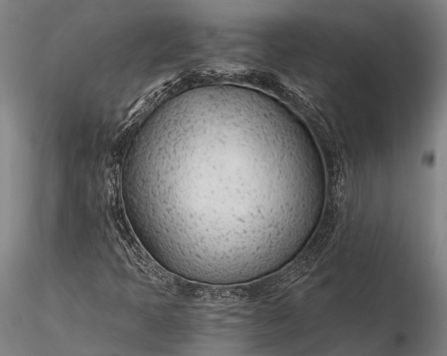 X0000116391397200912161514