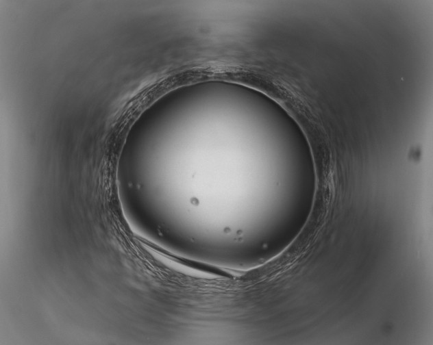 X0000116391398200912161514