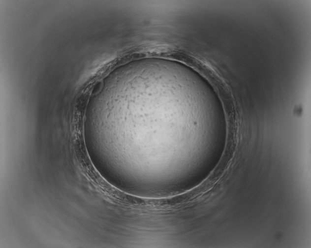 X0000116391399200912161514
