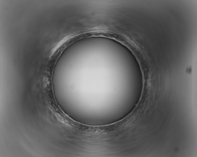 X0000116391400200912161514