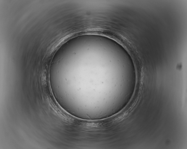 X0000116391401200912161514
