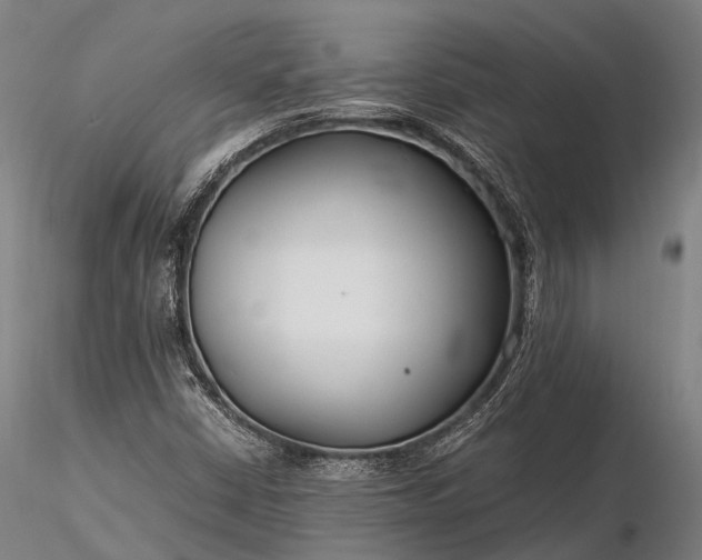 X0000116391402200912161514