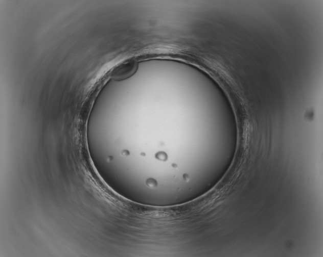 X0000116391404200912161514