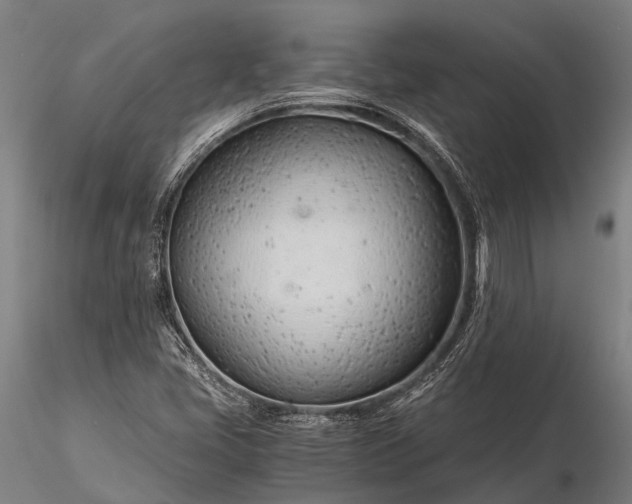 X0000116391405200912161514