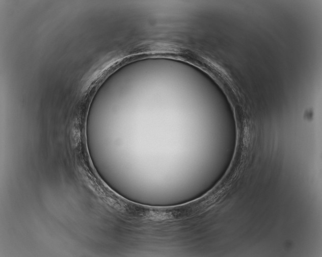 X0000116391407200912161514