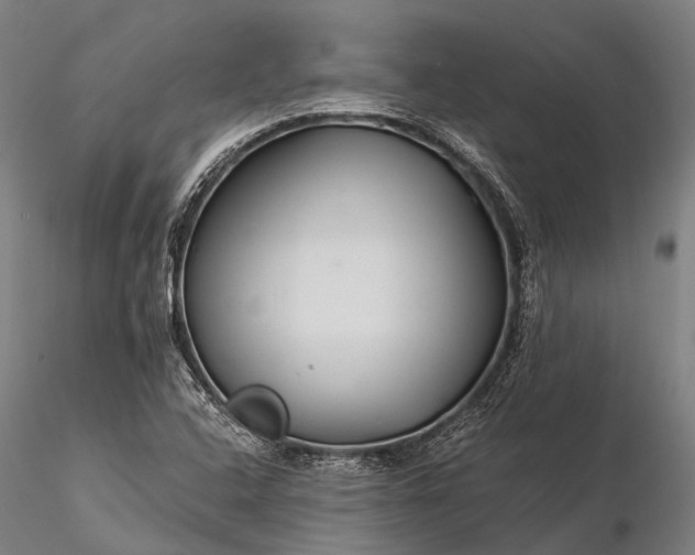 X0000116391408200912161514