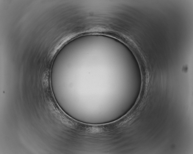 X0000116391409200912161514